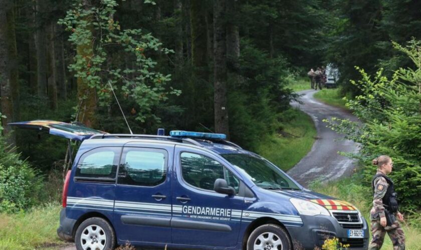 Die Polizei startete zahlreiche Suchaktionen nach der vermissten Jugendlichen Lina. (Archivbild) Foto: Frederick Florin/AFP/dpa