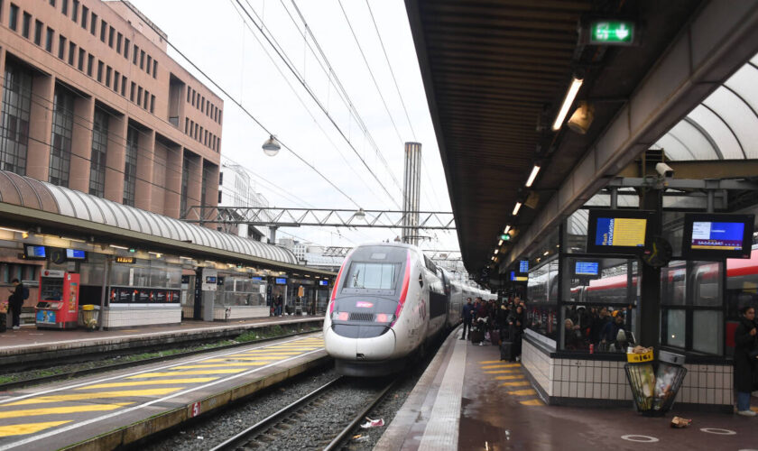 Fermeture de la ligne TGV Paris-Lyon pendant 4 jours : trajets plus longs, fréquence réduite… Ce que prévoit la SNCF