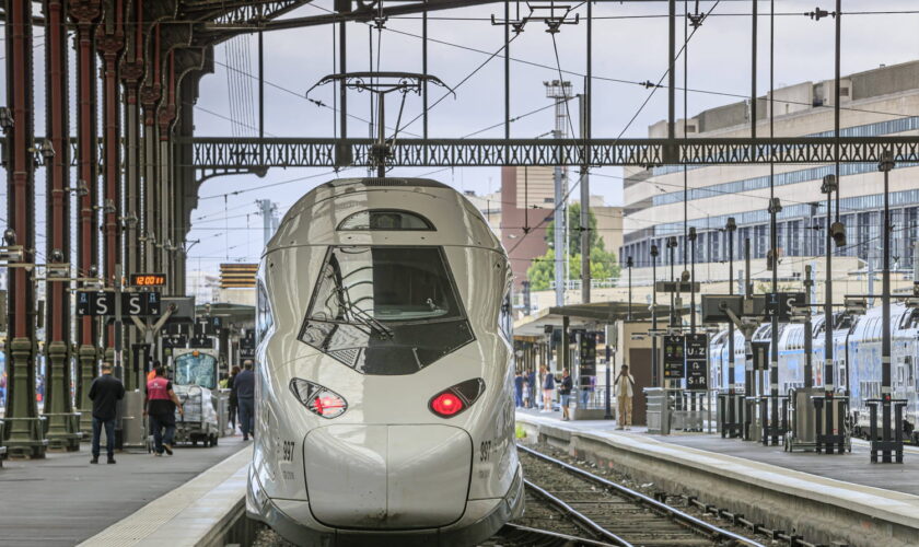 La SNCF prévient déjà, voyager dans ces villes le week-end du 11 novembre sera très compliqué