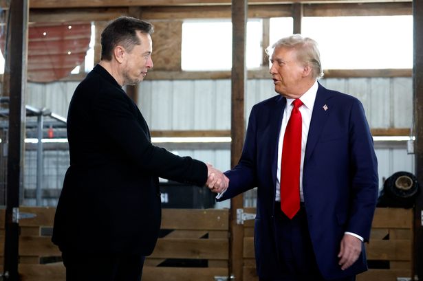 Elon Musk donates $70m to Donald Trump election campaign because he wants a 'centrist' government