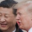 Xi Jinping et Donald Trump attend le 9 novembre 2017 à Pekin