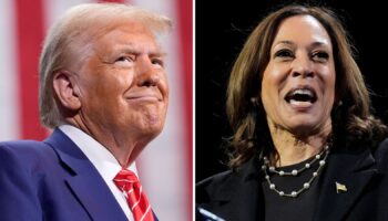 'I'm the father of IVF', Trump tells all-female audience: 'Bizarre', says Harris