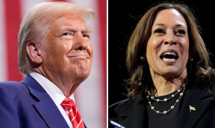 'I'm the father of IVF', Trump tells all-female audience: 'Bizarre', says Harris