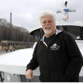 Le militant écologiste Paul Watson a demandé l’asile politique en France à Emmanuel Macron