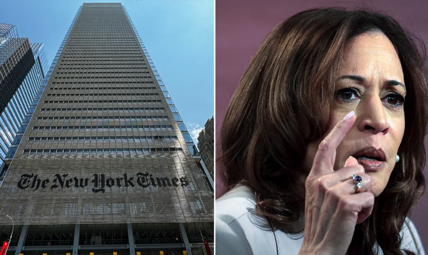 NYT plagiarism consultant admits Harris scandal 'more serious' than he thought