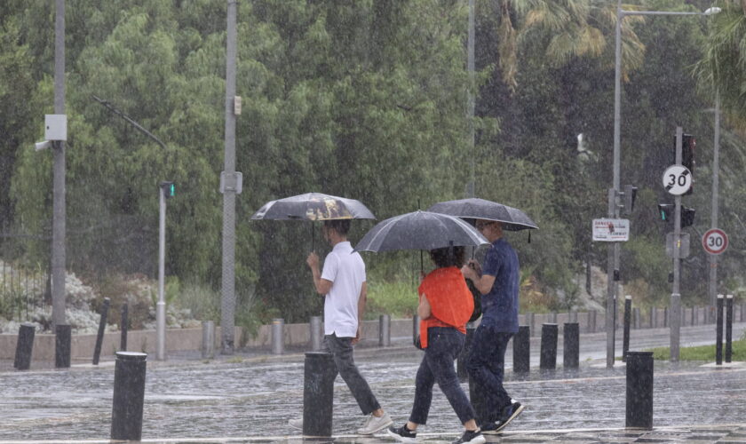 Le déluge arrive cette semaine : à cette date, la pluie touche tout le monde