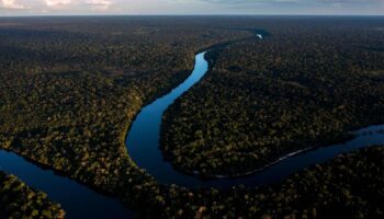 COP16 : la grande majorité des pays n’ont pas transmis leur feuille de route