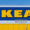 50 Jahre Ikea: Klassiker, auf die man nicht verzichten möchte