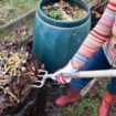 Three key garden tasks you must do this month - or suffer consequences next year