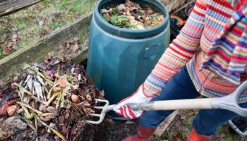 Three key garden tasks you must do this month - or suffer consequences next year