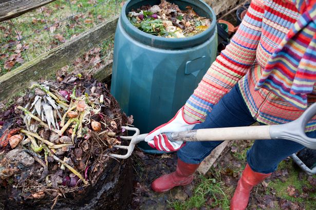 Three key garden tasks you must do this month - or suffer consequences next year