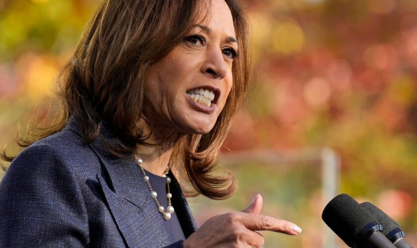 Democratic presidential nominee Vice President Kamala Harris on the campaign trail. Pic: AP