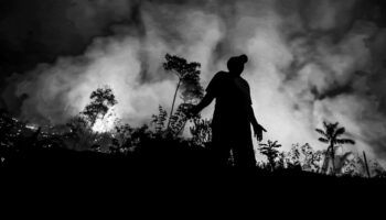 Waldbrände im Amazonas: "Wenn der Wald stirbt, dann fliehen auch die Seelen aus diesem Wald"