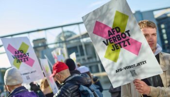 AfD-Verbot: Auf der Suche nach dem Momentum