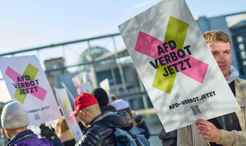 AfD-Verbot: Auf der Suche nach dem Momentum