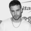 Liam Payne wurde nur 31 Jahre alt.