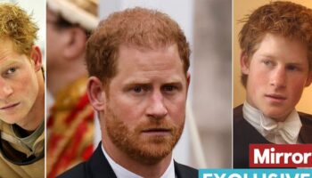 Prince Harry's old Eton and Army pals 'won't visit him' for one reason