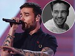 Liam Payne's 'heartbreaking unheard song' surfaces online in the wake of his death - as music producer reveals poignant lyrics