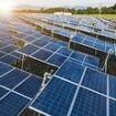 Tesco and Shell buy all electricity from solar farm that gained planning permission after developer said it could 'provide clean energy to over 100,000 homes'