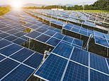 Tesco and Shell buy all electricity from solar farm that gained planning permission after developer said it could 'provide clean energy to over 100,000 homes'