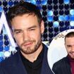 Liam Payne suffered huge blow after being dropped by record label Universal Music just days before his death