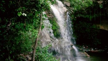 La redécouverte du ruisseau des Aygalades, «véritable personnage» de Marseille