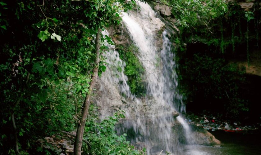 La redécouverte du ruisseau des Aygalades, «véritable personnage» de Marseille