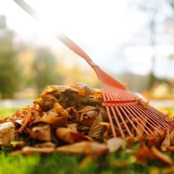 9 common gardening myths that could destroy your lawn – what to avoid this autumn