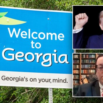 ‘Litigation minefield’: Georgia Republicans readying post-election legal strategy