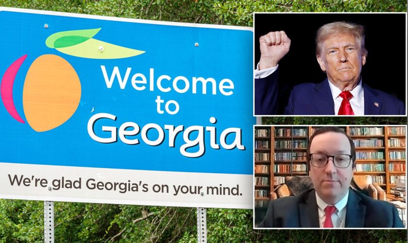 'Litigation minefield': Georgia Republicans readying post-election legal strategy