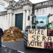 Colère des agriculteurs : un an après les grandes manifestations, certains retournent dans la rue