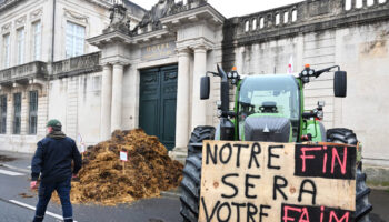 Colère des agriculteurs : un an après les grandes manifestations, certains retournent dans la rue