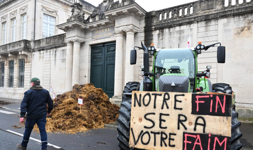 Colère des agriculteurs : un an après les grandes manifestations, certains retournent dans la rue