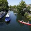 ‘Dozens’ of swans found dead in London canal with Defra investigation launched