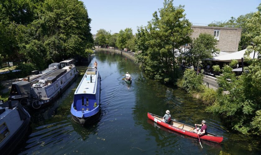 ‘Dozens’ of swans found dead in London canal with Defra investigation launched