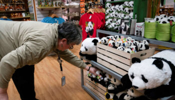 Les pandas sont de retour au zoo de Washington