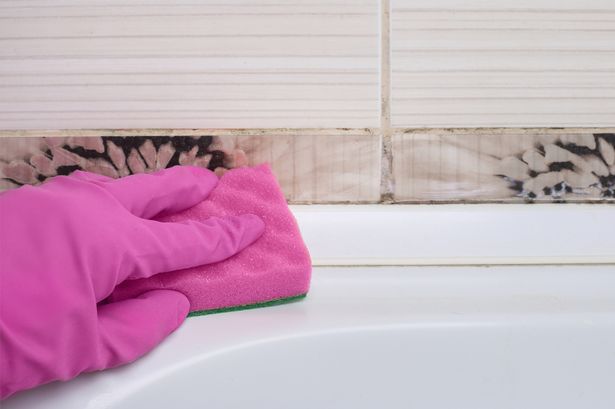 'I'm a cleaning expert but even I'm shocked by this 70p hack to get rid of black mould'