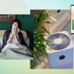 The air in your home could be making you sick – here’s how to improve it