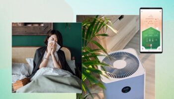 The air in your home could be making you sick – here’s how to improve it