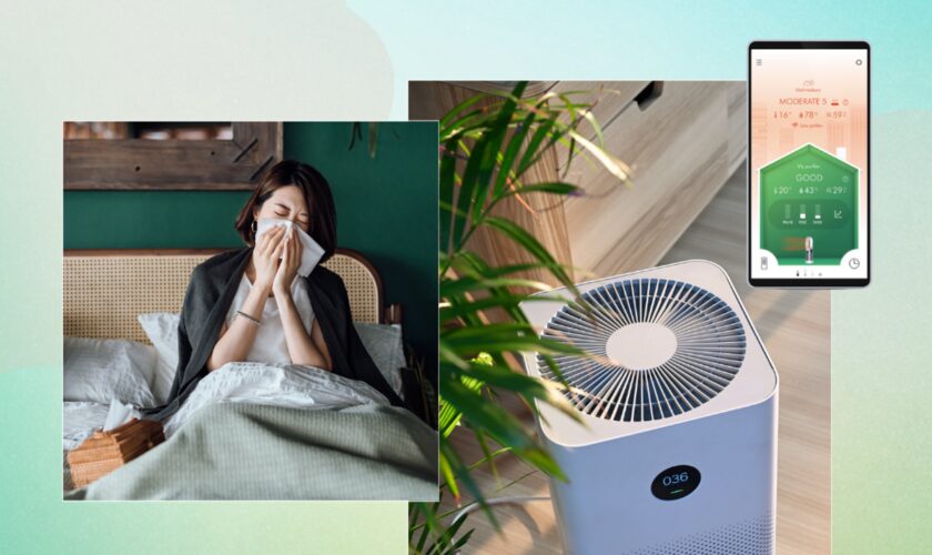 The air in your home could be making you sick – here’s how to improve it