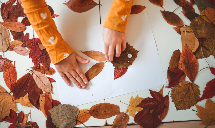 Vacances de la Toussaint : pour occuper vos enfants, voici 5 activités créatives  100 % automnales