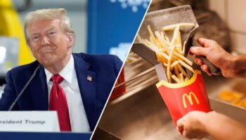 Trump teases he will 'do everything' while working behind McDonald's counter in crucial swing state