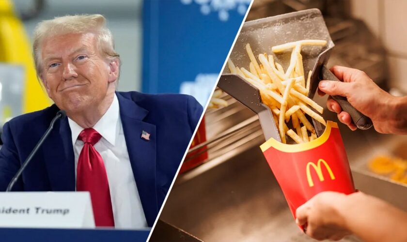 Trump teases he will 'do everything' while working behind McDonald's counter in crucial swing state