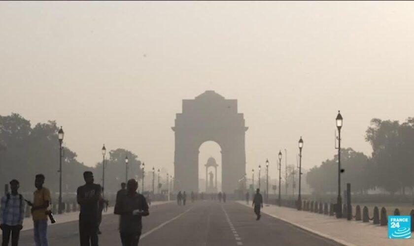 Pollution en Inde : New Delhi au bord de l'asphyxie