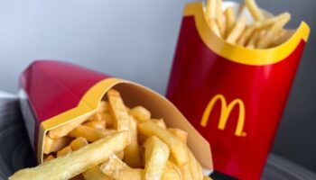 'I was today years old when I discovered disturbing truth about McDonald's fries' 