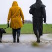 Sparziergänger mit Hund sollten im Landkreis Cloppenburg besonders aufpassen, rät die Polizei. (Symbolbild) Foto: Mohssen Assani