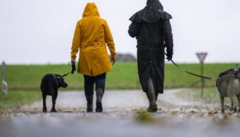 Sparziergänger mit Hund sollten im Landkreis Cloppenburg besonders aufpassen, rät die Polizei. (Symbolbild) Foto: Mohssen Assani