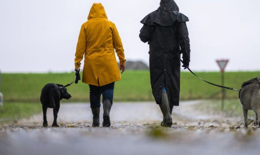 Sparziergänger mit Hund sollten im Landkreis Cloppenburg besonders aufpassen, rät die Polizei. (Symbolbild) Foto: Mohssen Assani