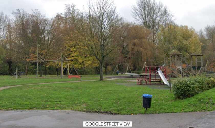 Detectives are investigating an allegation of rape. Pic: Google Street View