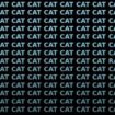 Just 3 percent of people can find the rat in this sea of cats in less than seven seconds